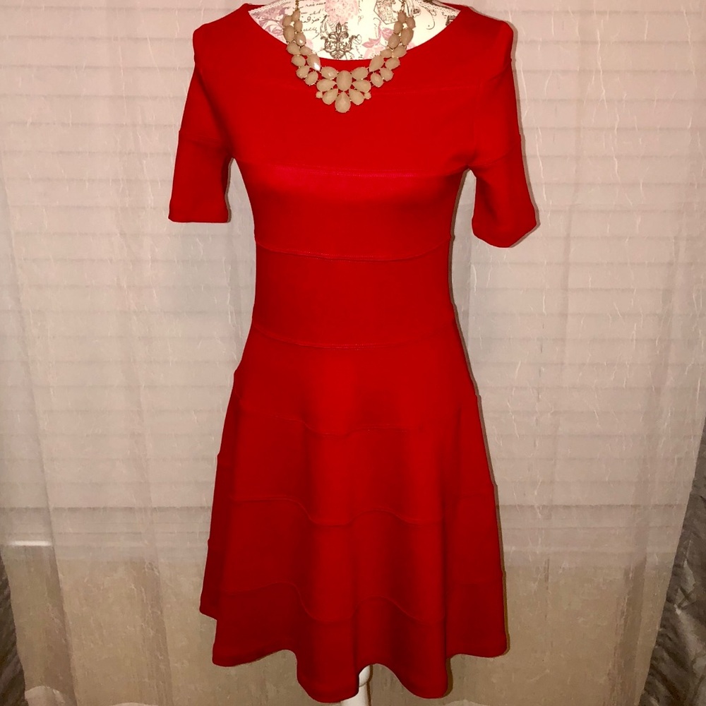NWT ZARA FLARE DRESS